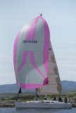 wookie2 gbr1608r whyw24 sun 750 6697